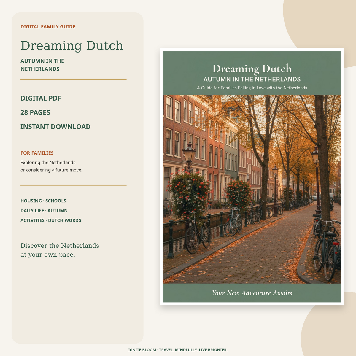 Dreaming Dutch: Autumn in the Netherlands