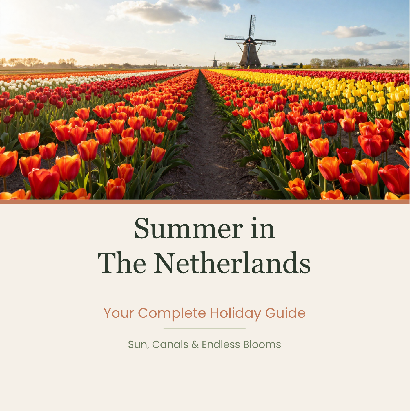 Summer in The Netherlands – Travel Guide