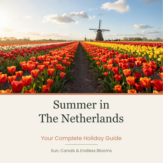 Dreaming Dutch: Summer in the Netherlands — Family Holiday Guide